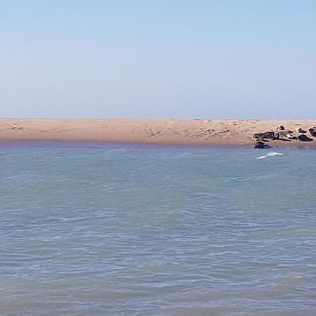 L Hyppo Camp' Panzió Oye-Plage Kültér fotó