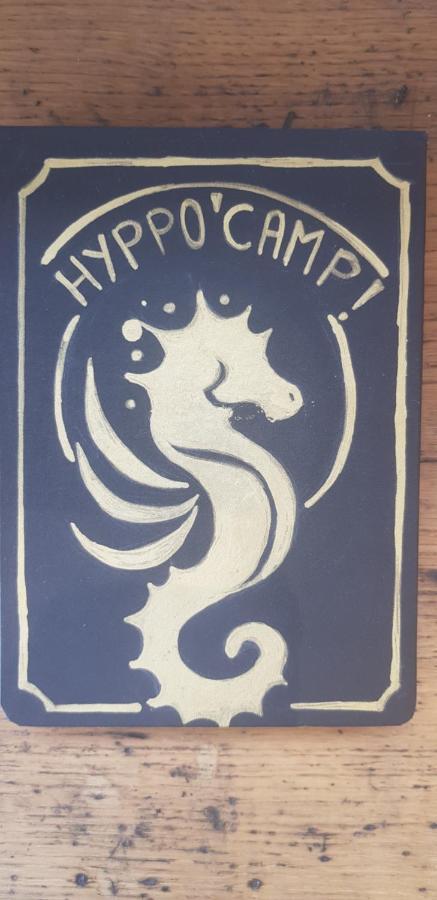 L Hyppo Camp' Panzió Oye-Plage Kültér fotó